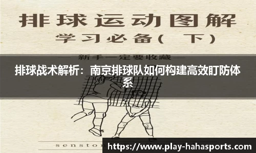排球战术解析：南京排球队如何构建高效盯防体系