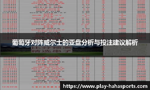 葡萄牙对阵威尔士的亚盘分析与投注建议解析